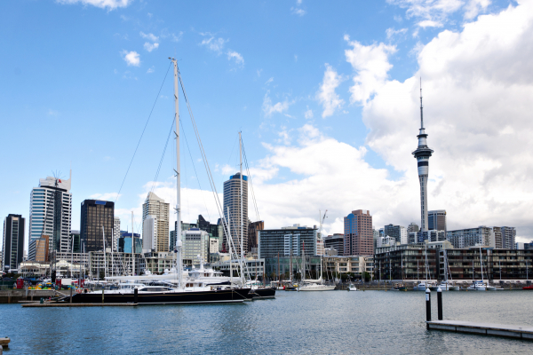 auckland harbour summer